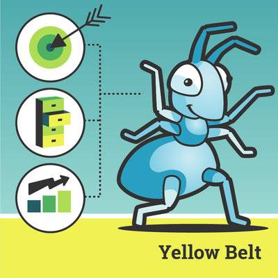 Lean Six Sigma gult belt kurs