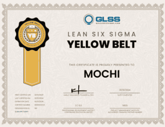 Yellow Belt sertifikat (placeholder)