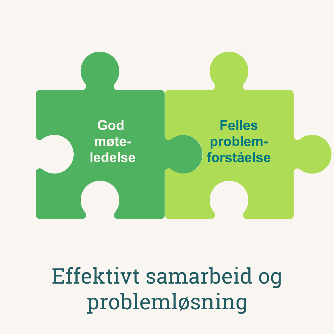 Felles problemforstaelse