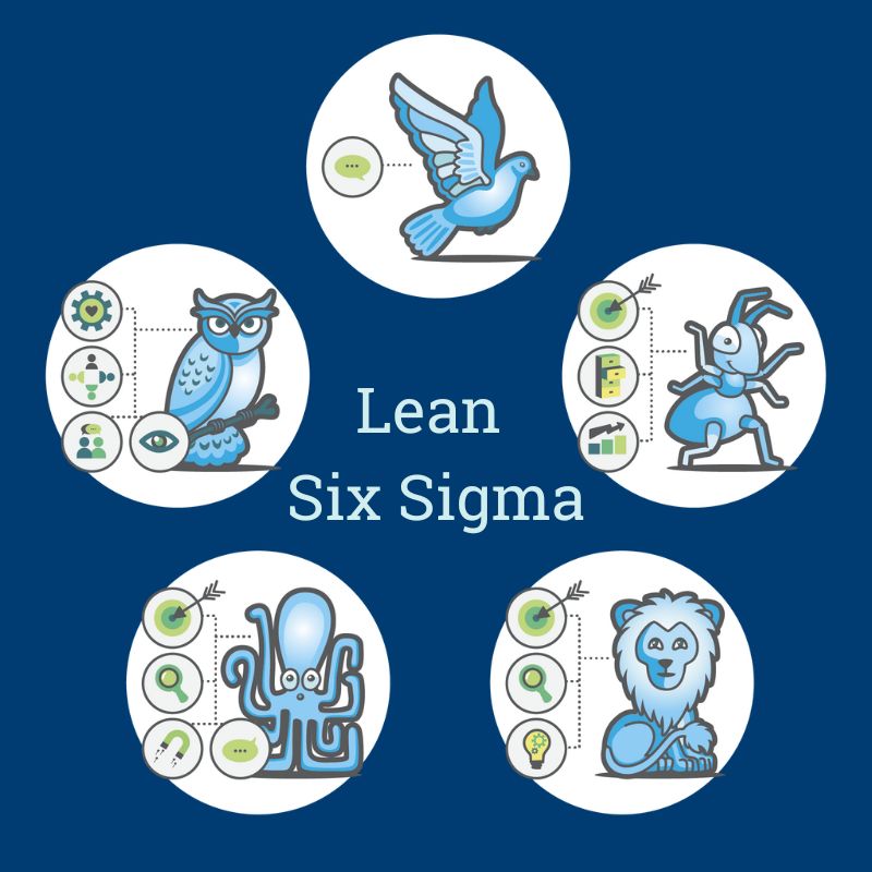 Lean Six Sigma beltekurs