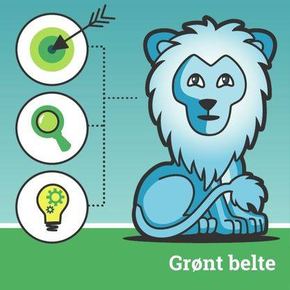 Lean Six Sigma Green Belt kurs