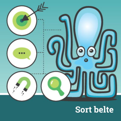 Lean Six Sigma Sort belte