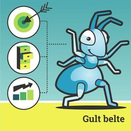 Lean Six Sigma gult belt kurs