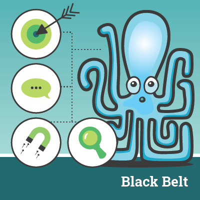 Lean Six Sigma Black Belt